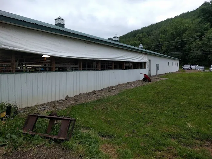 New Horizon Creamery Picture 7