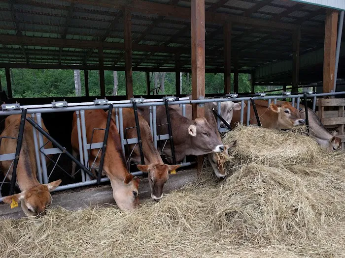 New Horizon Creamery Picture 8