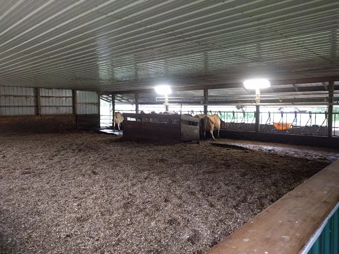 New Horizon Creamery Picture 9
