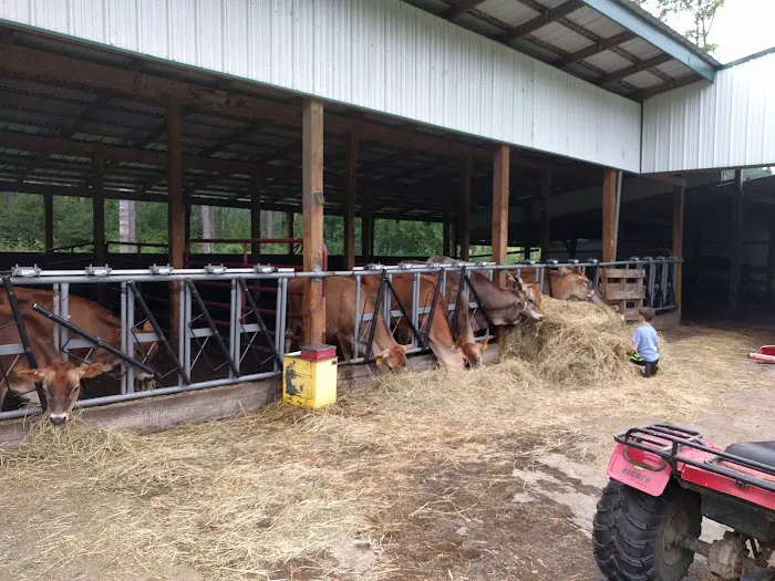 New Horizon Creamery Picture 10