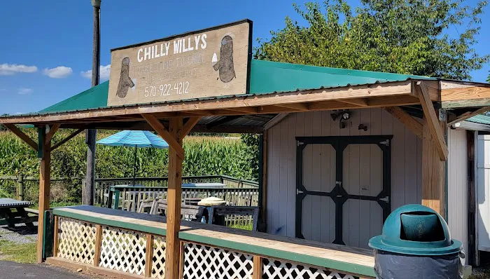 Chilly Willys Picture 2