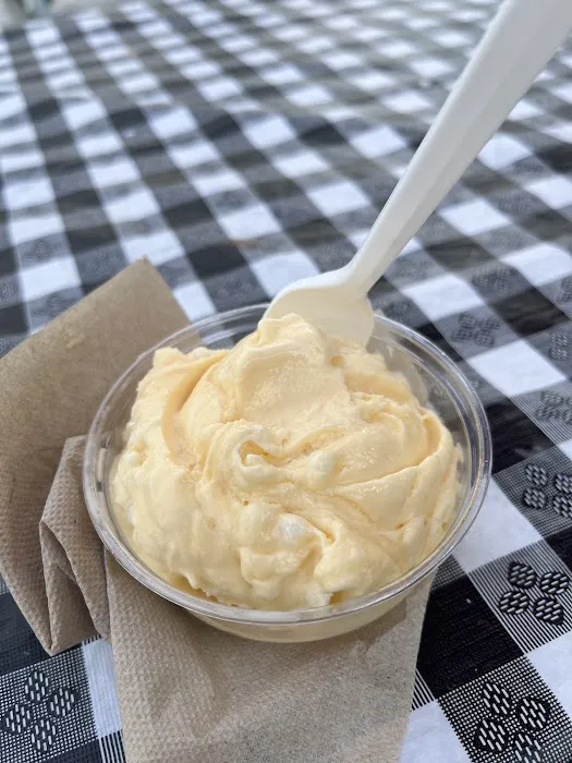 Village Ice Cream of Orchard Park Picture 6