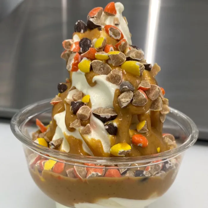 Village Ice Cream of Orchard Park Picture 4