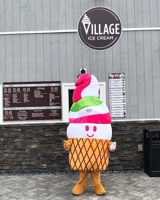 Village Ice Cream of Orchard Park Picture 1