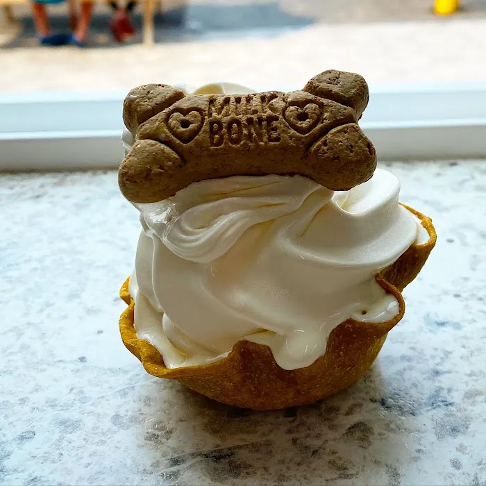 Village Ice Cream of Orchard Park Picture 7
