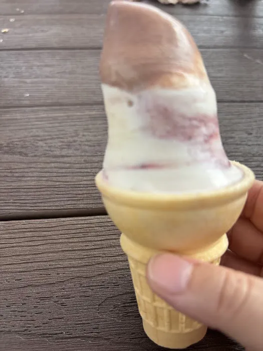 The Yard Ice Cream Picture 10