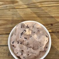 Ice Cream Depot ico
