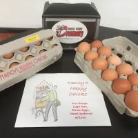 Rocky Point Creamery ico