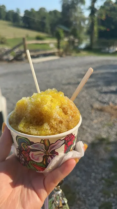 The Bog Shack Snowball Stand Picture 5