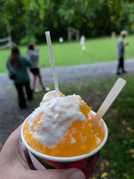 The Bog Shack Snowball Stand Picture 10