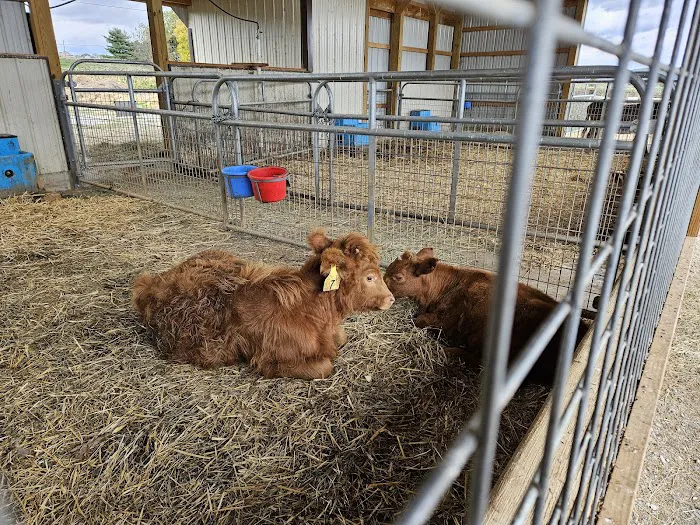Misty Meadow Farm Creamery Picture 2