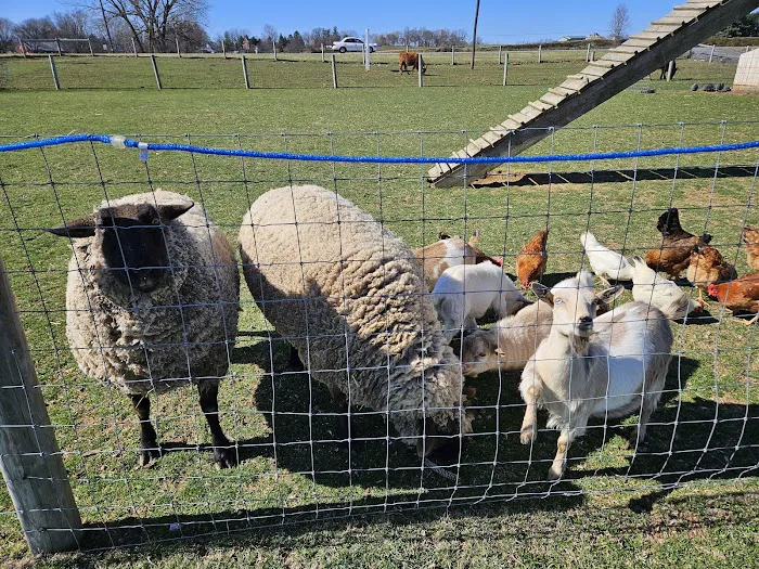 Misty Meadow Farm Creamery Picture 5