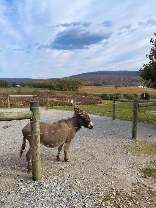Misty Meadow Farm Creamery Picture 3