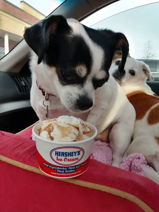 Honeybee Creamery Picture 5
