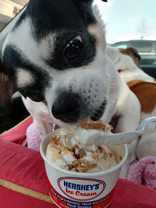 Honeybee Creamery Picture 9