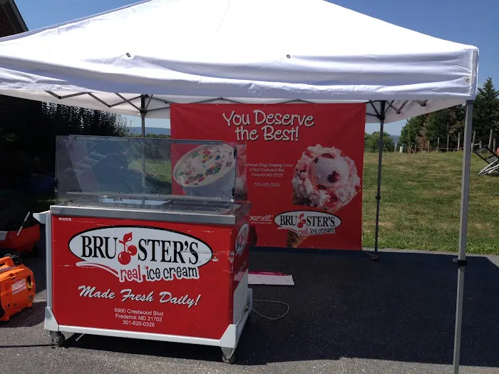 Bruster's Real Ice Cream Picture 1