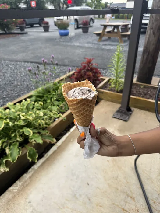 Leo's Homemade Ice Cream Picture 1