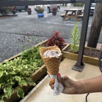 Leo's Homemade Ice Cream ico