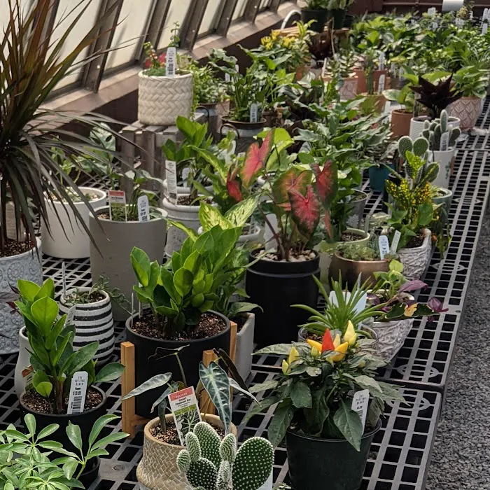 The Potting Bench Greenhouse, Ice Cream, & Workshop Picture 10