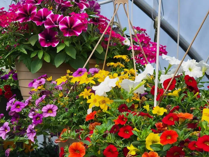 The Potting Bench Greenhouse, Ice Cream, & Workshop Picture 9