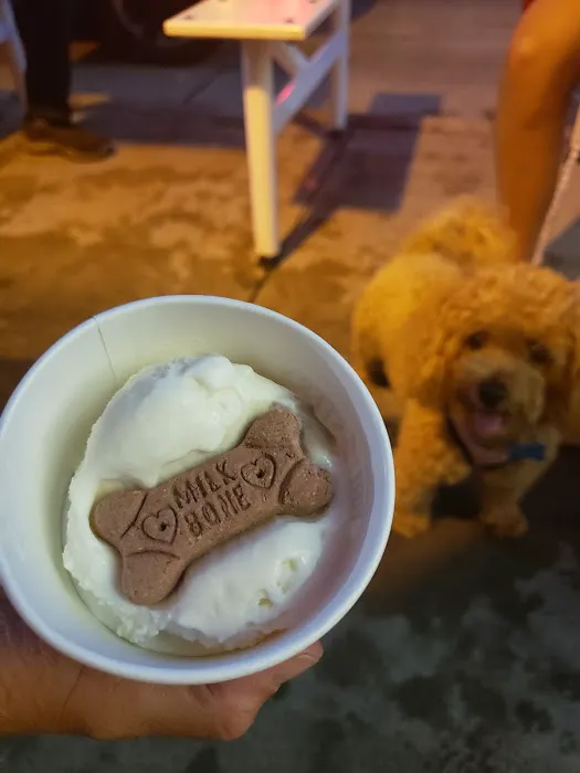 Bruster's Real Ice Cream Picture 7