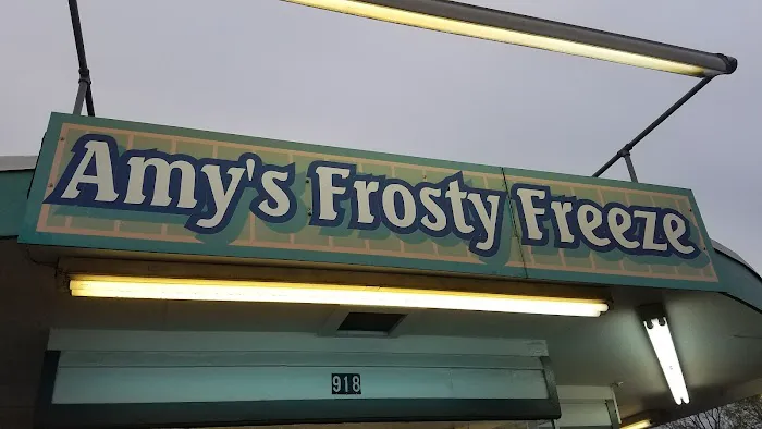 Amy's Frosty Freeze Corporation Picture 2