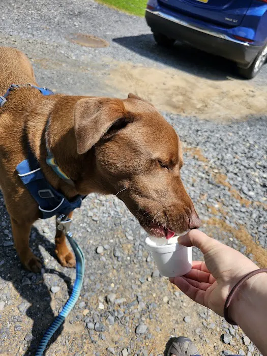 Susquehanna Soft Serve Picture 9