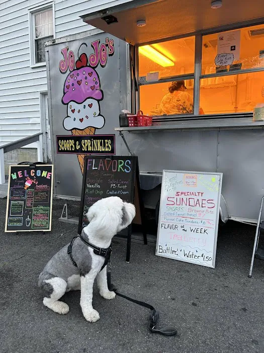 Jo Jo's Scoops and Sprinkles Picture 10