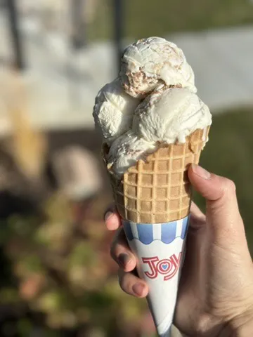 Shady Shack Ice Cream and Grill Picture 6
