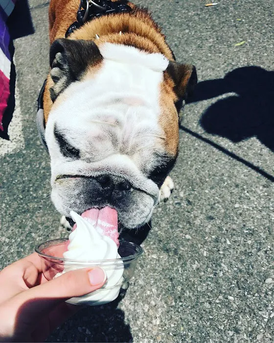 Bryce's Ice Cream Picture 6