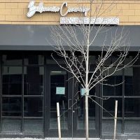 Billionaire Creamery ico