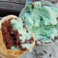 Frosty's Ice Cream ico