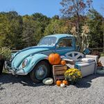 Glosser's Soft Serve