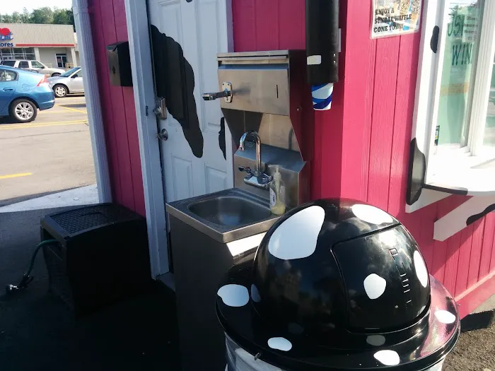 The Pink Cow Ice Cream Shop & Momma Cow's Treat Emporium Picture 1