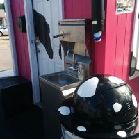 The Pink Cow Ice Cream Shop & Momma Cow's Treat Emporium ico
