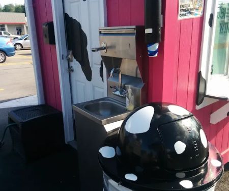 The Pink Cow Ice Cream Shop & Momma Cow's Treat Emporium