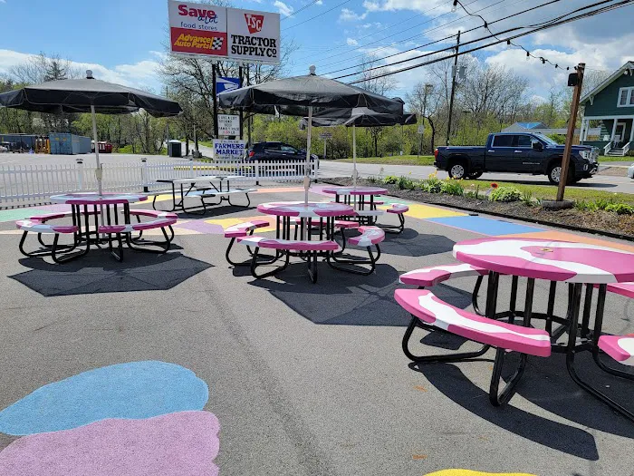 The Pink Cow Ice Cream Shop & Momma Cow's Treat Emporium Picture 5