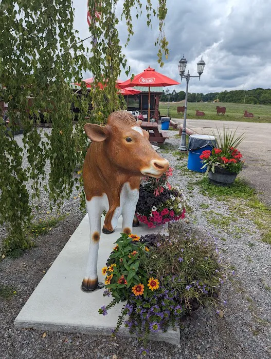 Kish-a-wa Creamery and Lulu's Coffeehouse Picture 6