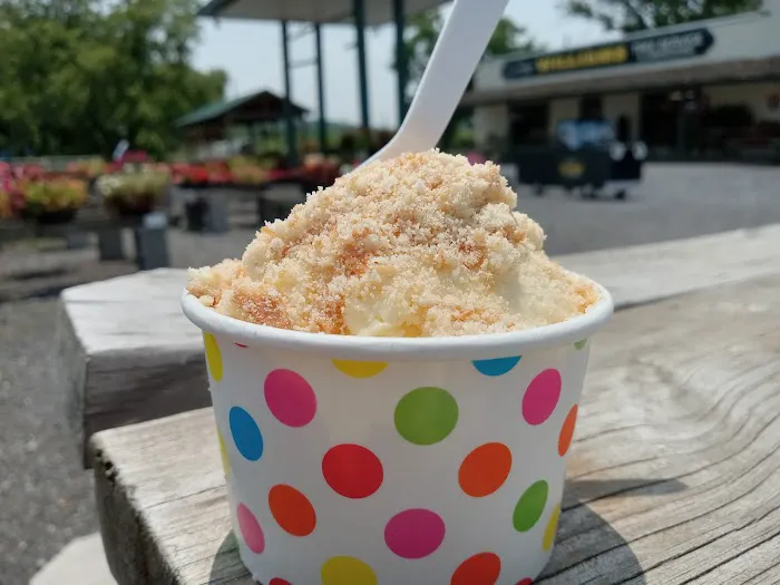 The Ice Cream Stand Picture 5