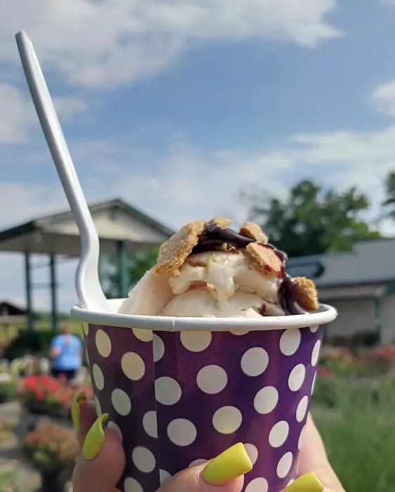 The Ice Cream Stand Picture 3