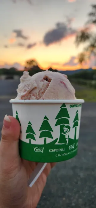 The Ice Cream Stand Picture 9