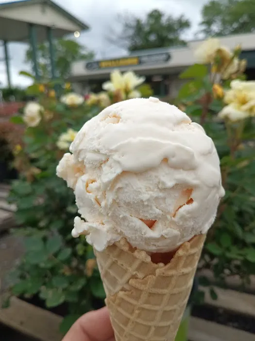 The Ice Cream Stand Picture 8