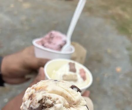Yukon's Treats
