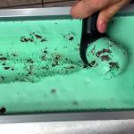 Ripleigh's Creamery