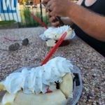 Dairy Queen (Treat)