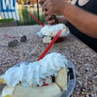 Dairy Queen (Treat) ico