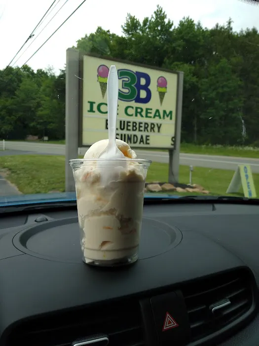 3B Ice Cream (Dauphin) Picture 8