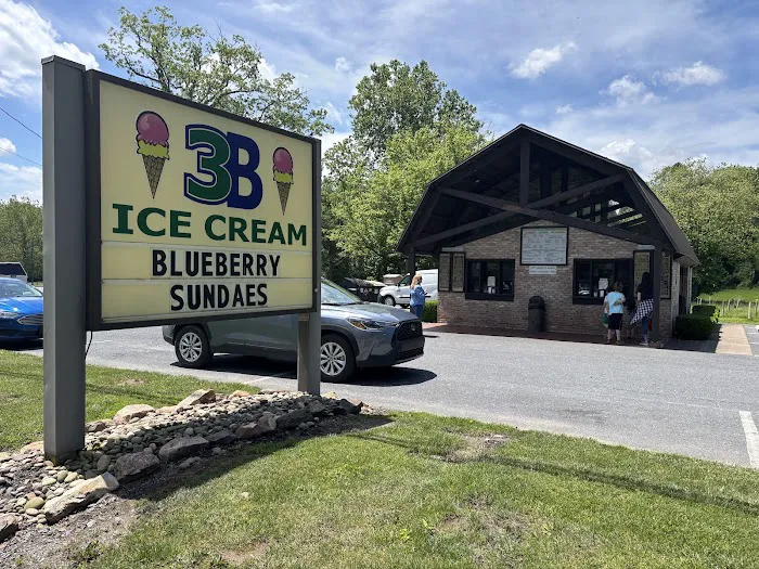 3B Ice Cream (Dauphin) Picture 9