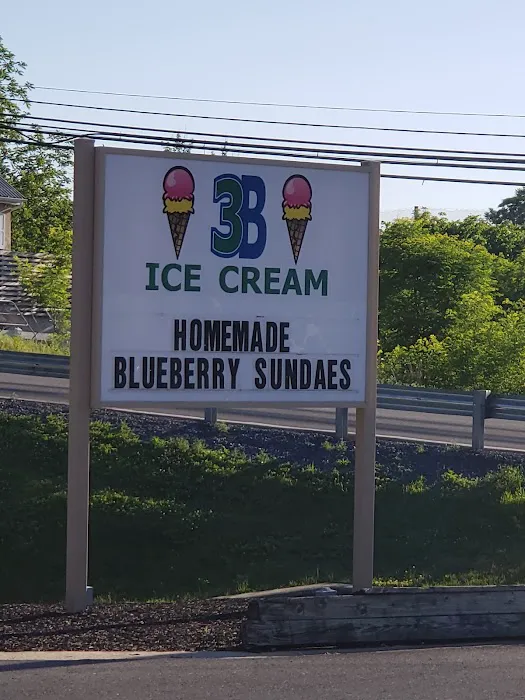 3B Ice Cream (Colonial Rd) Picture 4