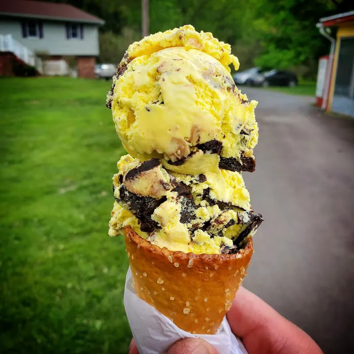 Hunters' Dairy Freez Picture 3